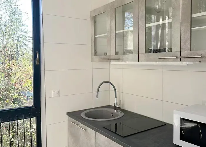 Schoenes 12-2 Uni-mainz 美因茨